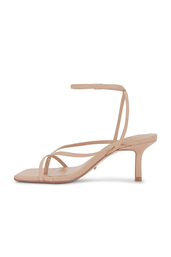 Avi Sandal