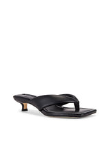 Tropic Mule