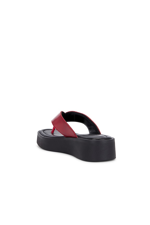 Danya Flip Flops