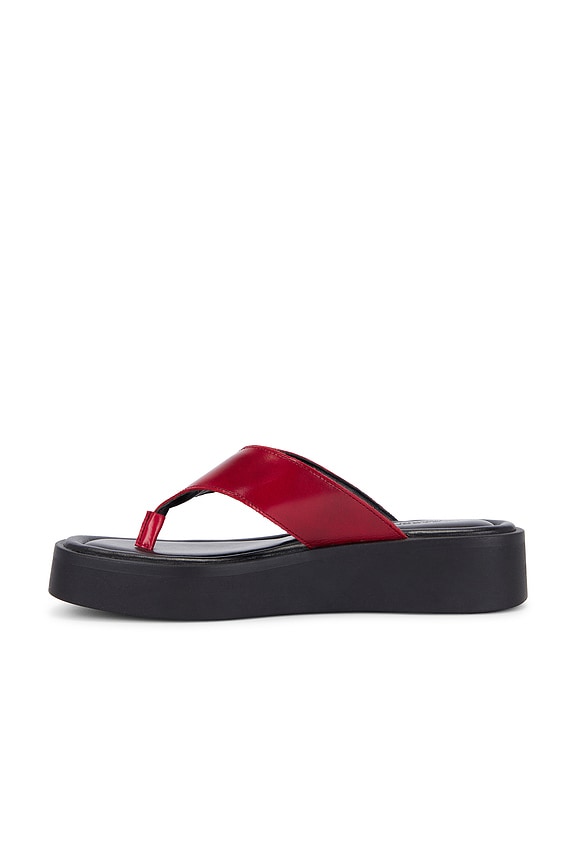 Danya Flip Flops