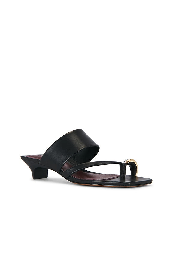 Stacy Sandal