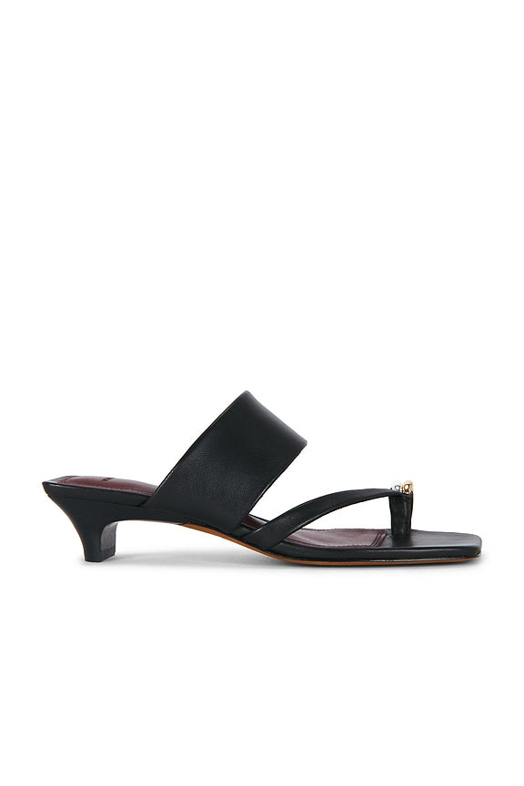 Stacy Sandal