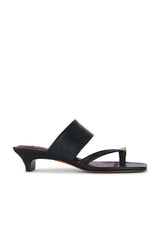 Stacy Sandal