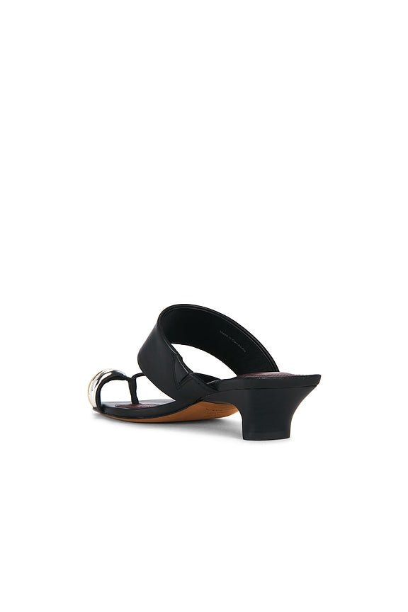 Stacy Sandal