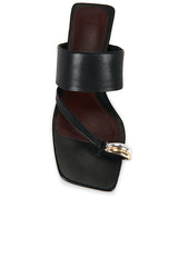 Stacy Sandal