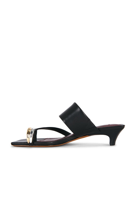 Stacy Sandal