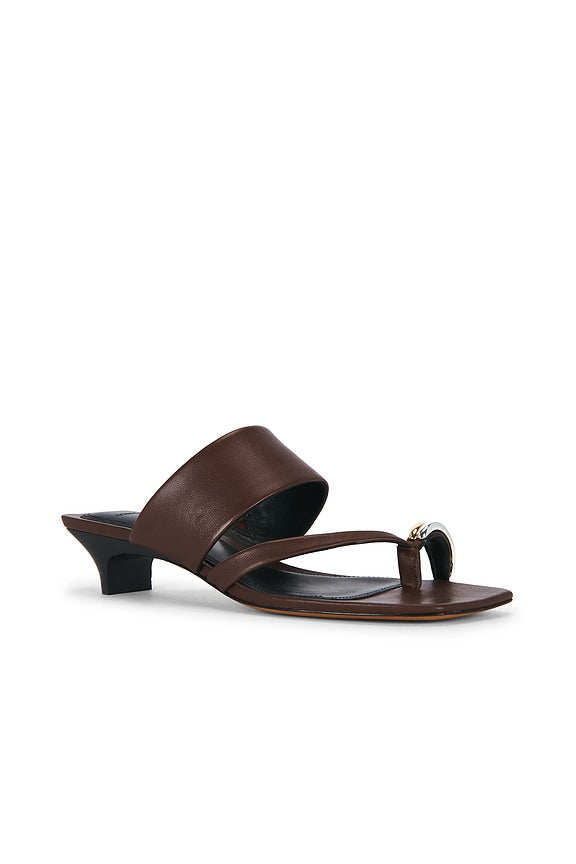 Stacy Sandal