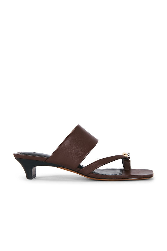Stacy Sandal