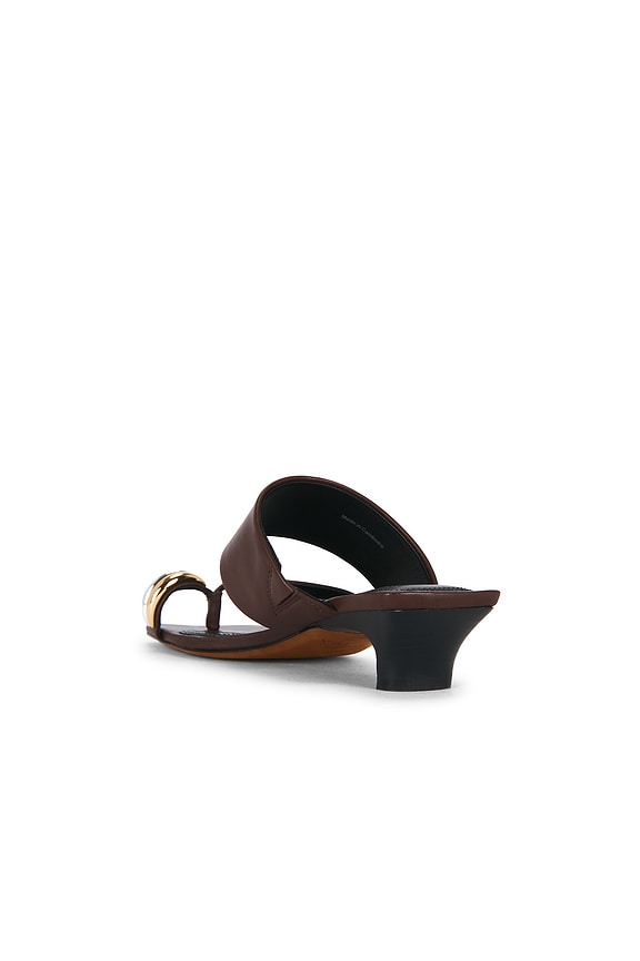 Stacy Sandal