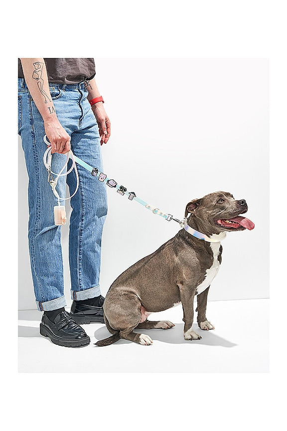 Lunar Poop Bag Carrier
