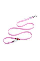 Standard Leash