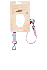 Standard Leash