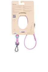 Small Leash