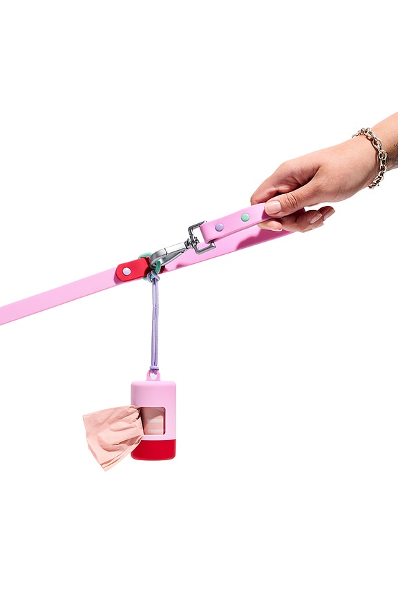 Small Leash