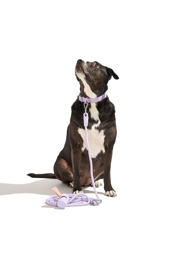 Rope Leash