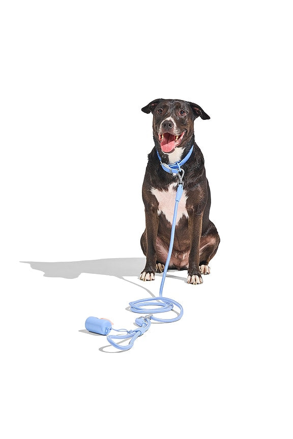 Rope Leash