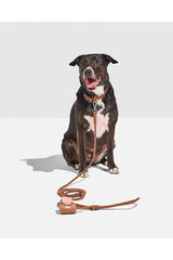 Rope Leash