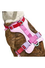 Extra Small Harness