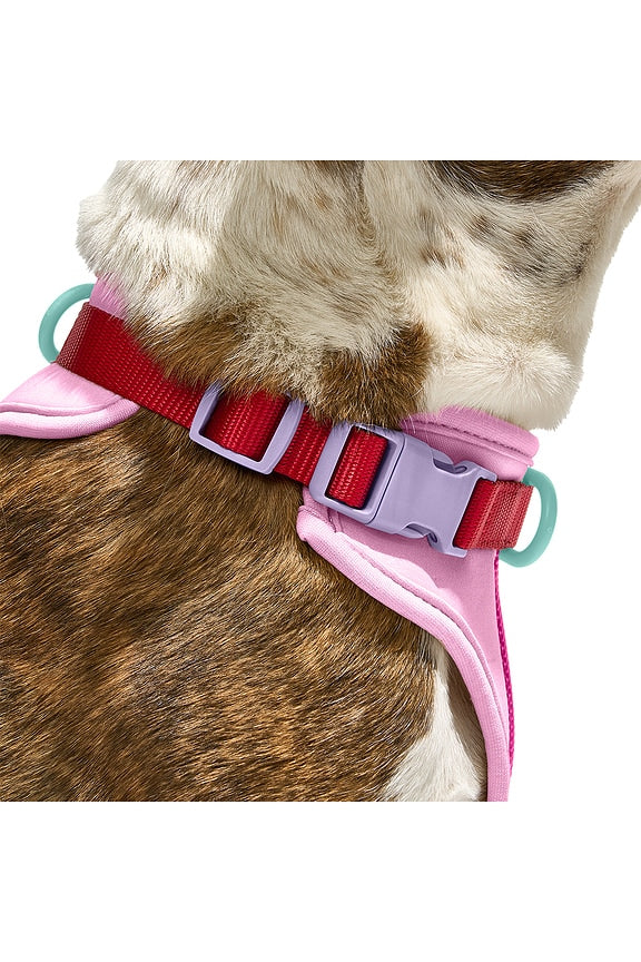 Extra Small Harness
