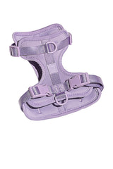 Harness