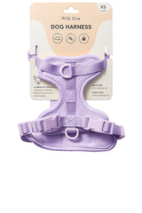 Harness