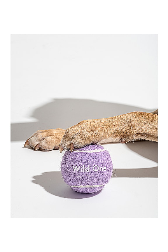 Tennis Balls Set Of 4