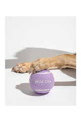 Tennis Balls Set Of 4