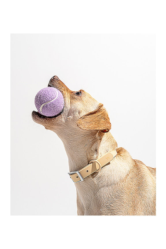 Tennis Balls Set Of 4
